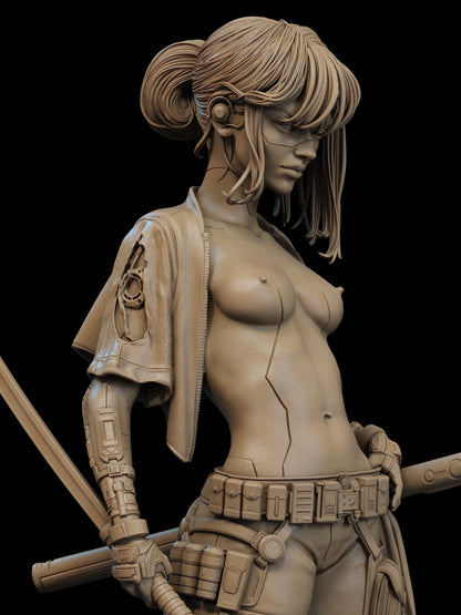 Cyber Samurai (Original Character)