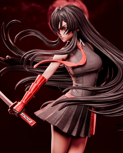 Akame (Akame ga Kill!)
