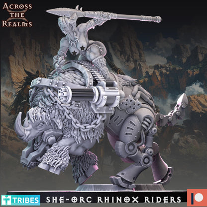 Rhinox Riders + Boss
