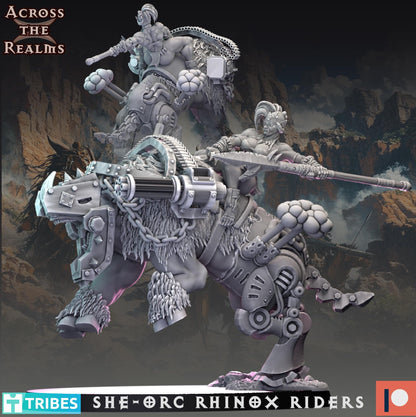 Rhinox Riders + Boss