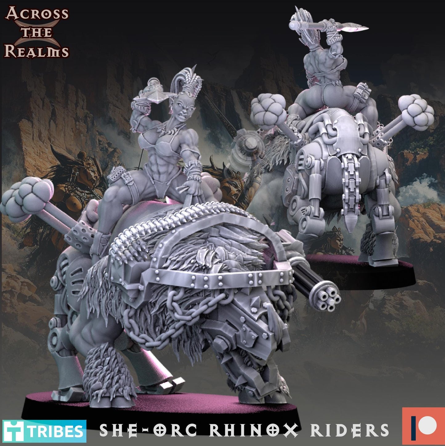 Rhinox Riders + Boss