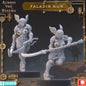Paladin Nuns