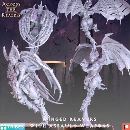 Winged Reaver Assault Weapons