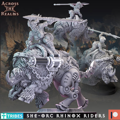 Rhinox Riders + Boss