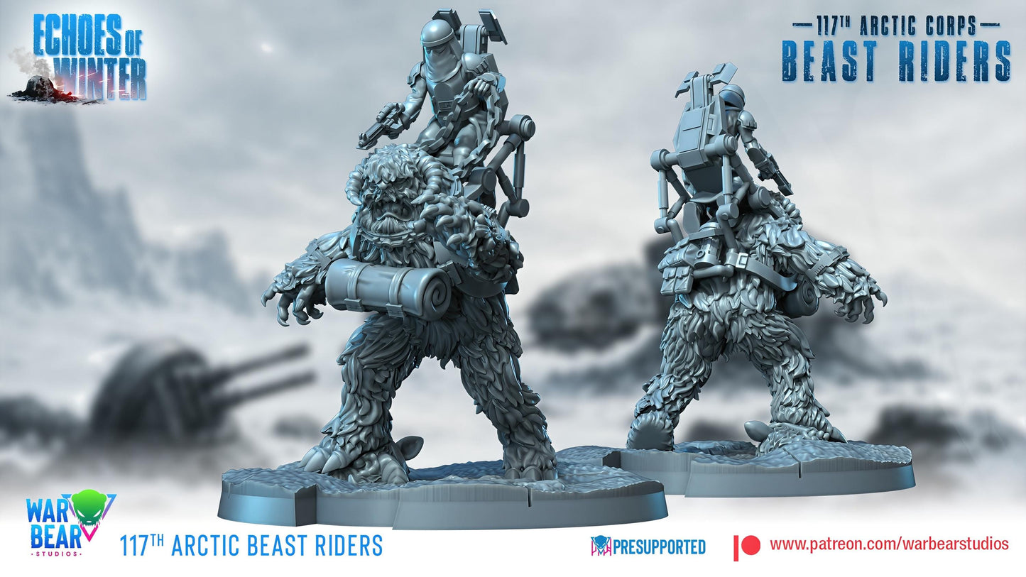 117th Arctic Beast Riders