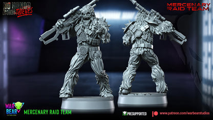 Mercenary Raid Team
