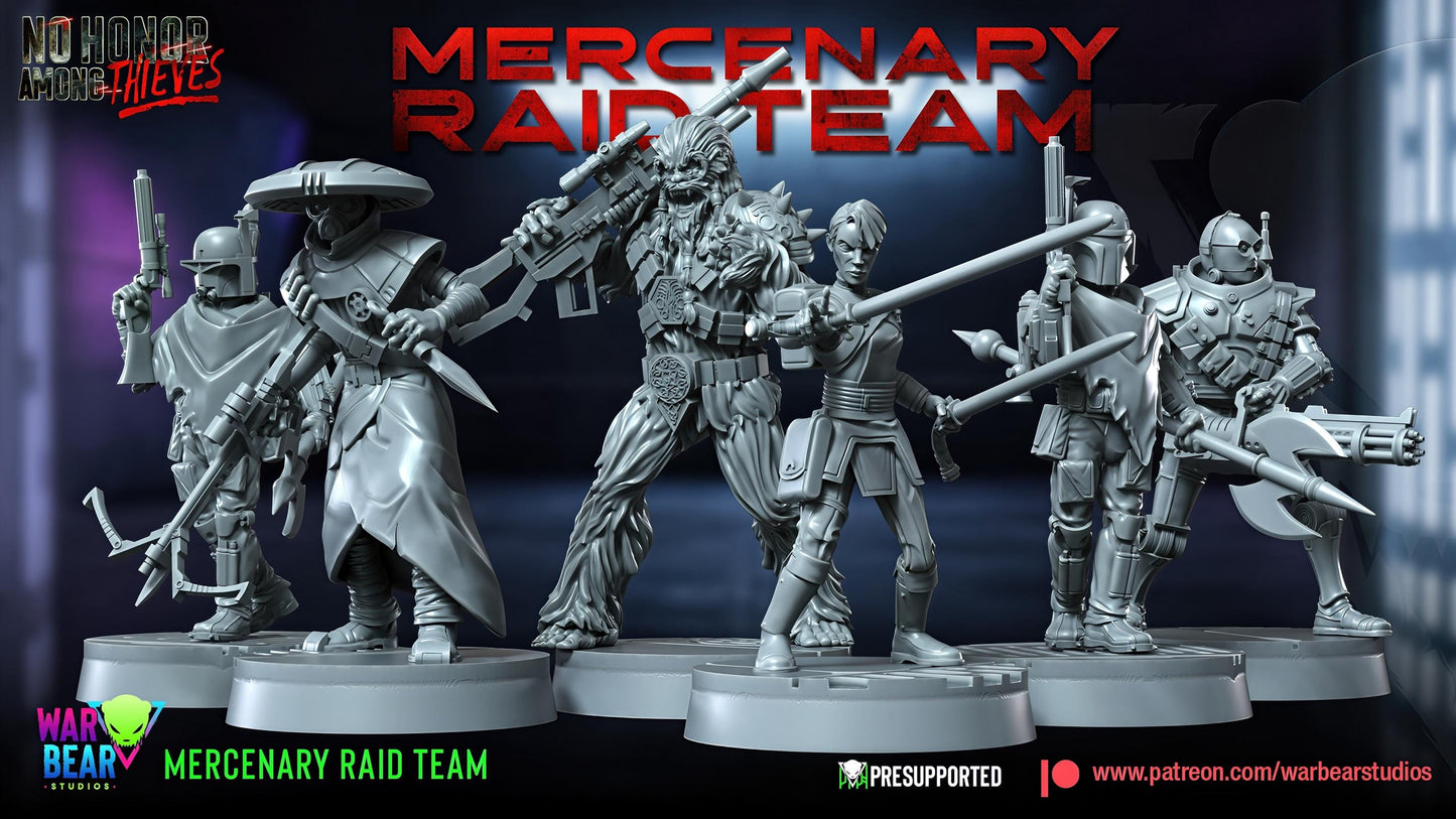 Mercenary Raid Team