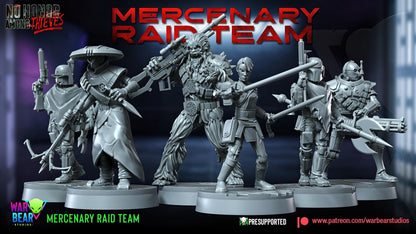 Mercenary Raid Team
