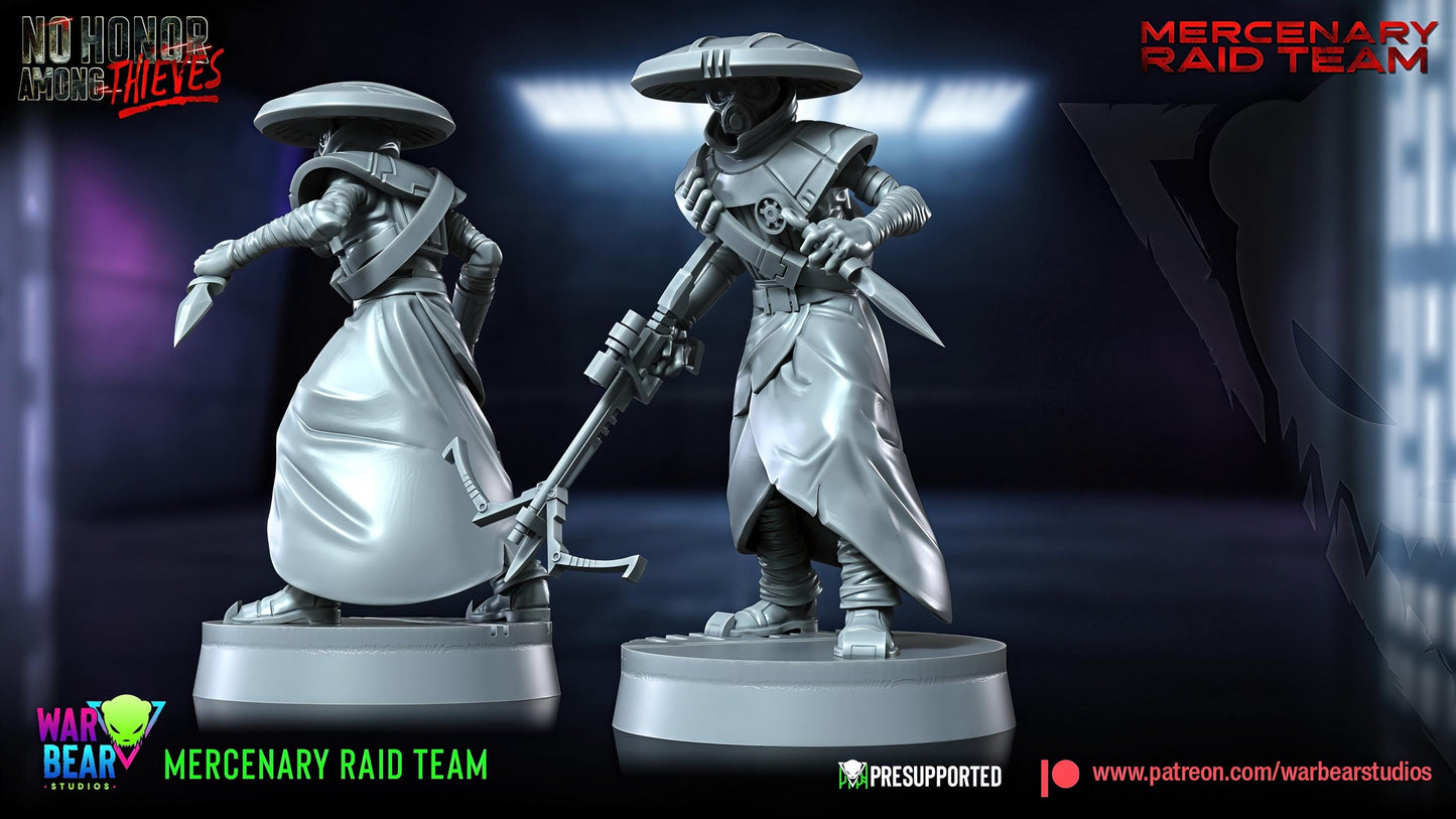 Mercenary Raid Team