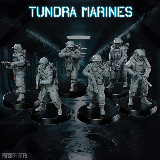 Tundra Marines
