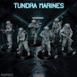 Tundra Marines