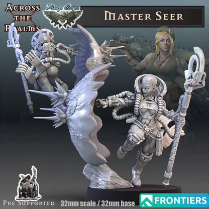 Pinup Corps Lady Master Seer