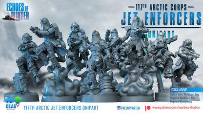 117th Arctic Jet Enforcers