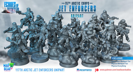 117th Arctic Jet Enforcers