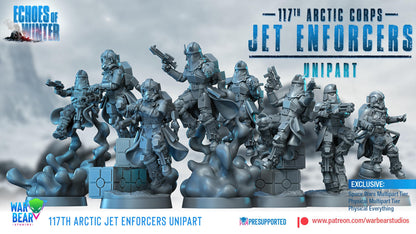 117th Arctic Jet Enforcers