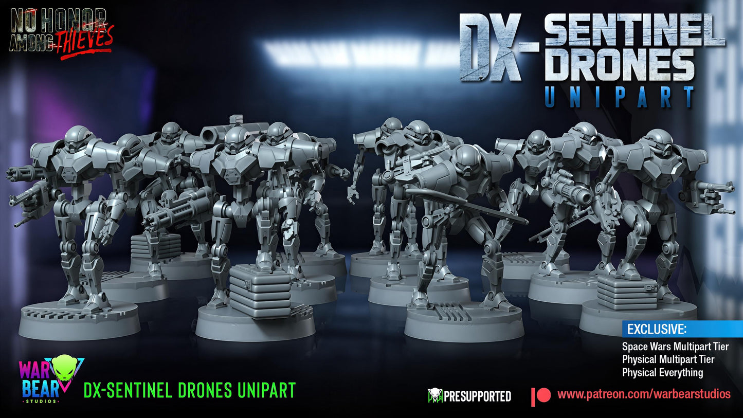 DX-Sentinel Drones