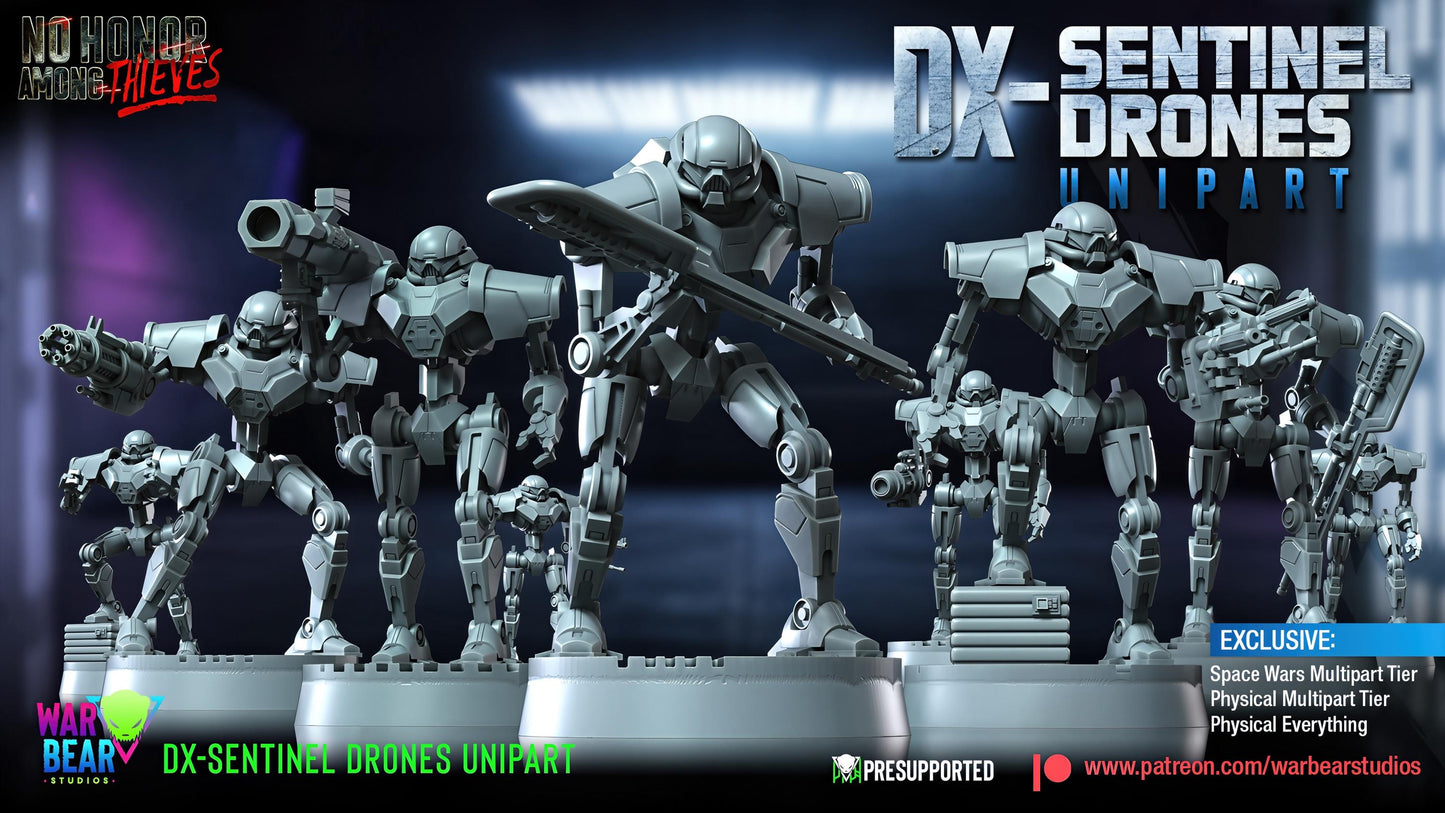 DX-Sentinel Drones
