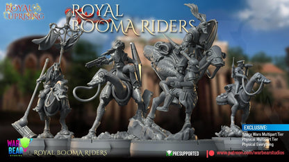 Royal Booma Riders