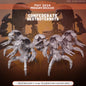 Confederate Destroyer Bots