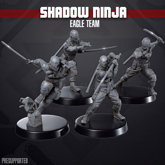 Shadow Ninja Eagle Team