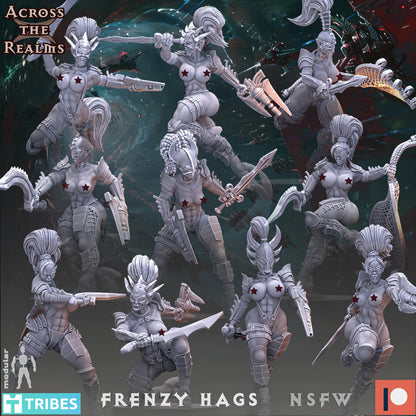 Frenzy Hags  by Across the Realms