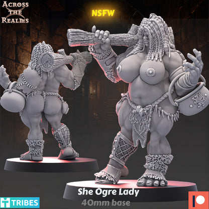 Dungeon Ladies She Ogre Lady by Across the Realms