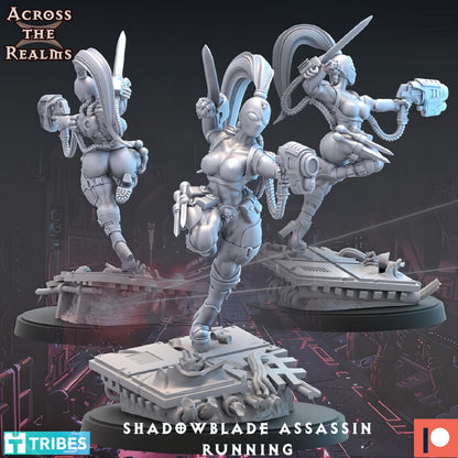 Shadowblade Assassins by Across the Realms