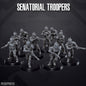 Senatorial Troopers by Skullforge