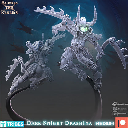 Cabal Dark Knight Drazhina by Across the Realms