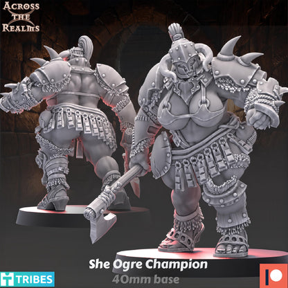 Dungeon Ladies She Ogre Champion by Across the Realms