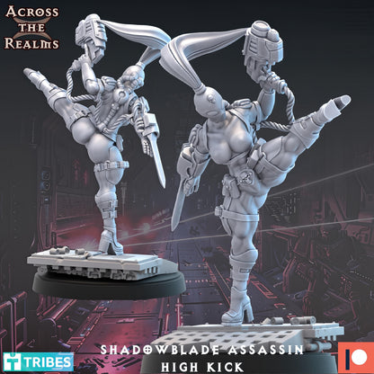 Shadowblade Assassins by Across the Realms